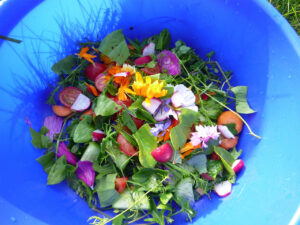 foto0039 0005 p1050513