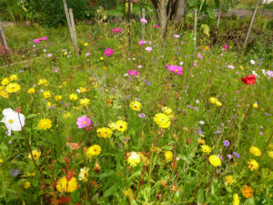 foto0039 0008 p1050490