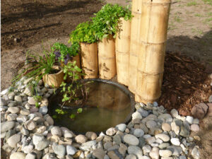 foto0039 0011 p1040160