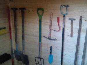 foto0039 0013 kimg0323