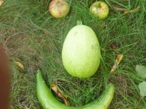 foto0039 0018 gesicht