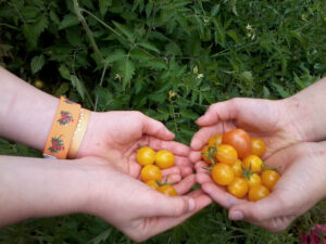 foto0039 0019 foto0215